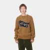 Carhartt WIP Brown Ducks Sweater^Homme Mailles