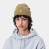 Carhartt WIP Chase Beanie^Homme Accessoires | Accessoires
